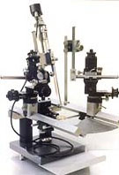 Stereotaxic Instrument